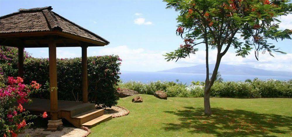 Bed and Breakfast Ho'Oilo House à Launiupoko Extérieur photo