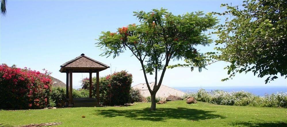 Bed and Breakfast Ho'Oilo House à Launiupoko Extérieur photo